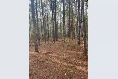 Dsh 3 Wagener Road Dsh 3, Wagener, SC 29164 - Photo 20