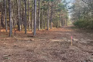 Dsh 3 Wagener Road Dsh 3, Wagener, SC 29164 - Photo 1