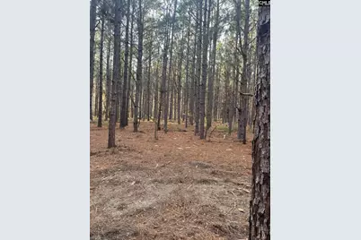 Dsh 3 Wagener Road Dsh 3, Wagener, SC 29164 - Photo 24