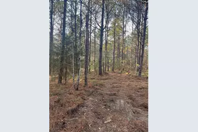 Dsh 3 Wagener Road Dsh 3, Wagener, SC 29164 - Photo 16