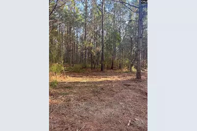 Dsh 3 Wagener Road Dsh 3, Wagener, SC 29164 - Photo 14