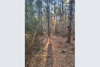 Dsh 3 Wagener Road Dsh 3, Wagener, SC 29164 - Photo 32