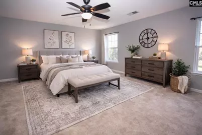 159 Whispering Oak Lane, Chapin, SC 29036 - Photo 22