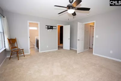 159 Whispering Oak Lane, Chapin, SC 29036 - Photo 18