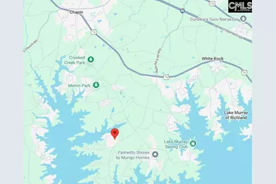 159 Whispering Oak Lane, Chapin, SC 29036 - Photo 2