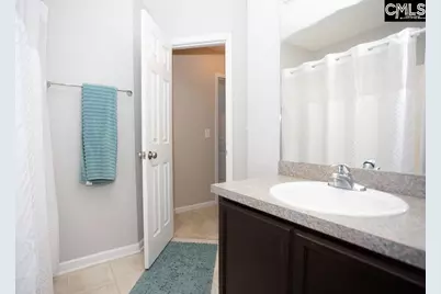 159 Whispering Oak Lane, Chapin, SC 29036 - Photo 30