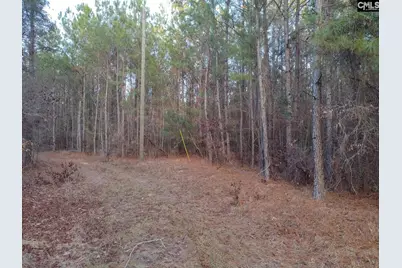 0 Jasper Lane 5 #Lot 5, Summerton, SC 29148 - Photo 12