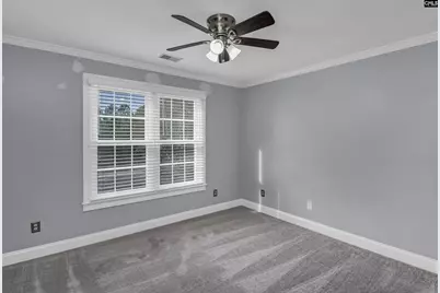205 Parish Walk, Elgin, SC 29045 - Photo 36