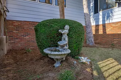 190 Hunter Drive, Chapin, SC 29036 - Photo 50