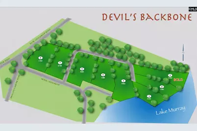 Tbd Devils Backbone Road #3, Leesville, SC 29070 - Photo 1