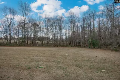 528 Hallman Wagon Road, Leesville, SC 29070 - Photo 52