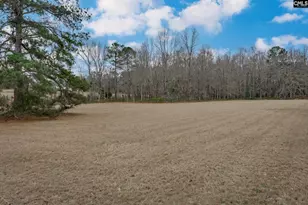 528 Hallman Wagon Rd, Leesville, SC 29070 - Photo 46