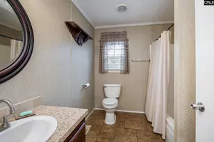 528 Hallman Wagon Rd, Leesville, SC 29070 - Photo 42