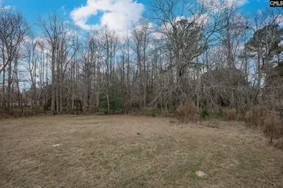 528 Hallman Wagon Road, Leesville, SC 29070 - Photo 56