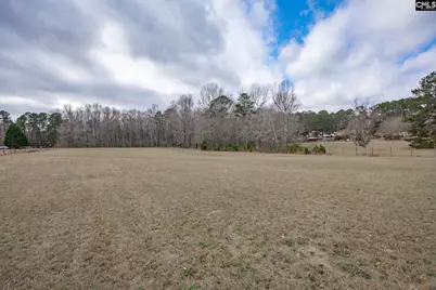 528 Hallman Wagon Road, Leesville, SC 29070 - Photo 54