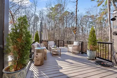 524 Murray Lindler Road, Chapin, SC 29036 - Photo 28