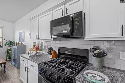 271 Bickley View Court, Chapin, SC 29036 - Photo 10