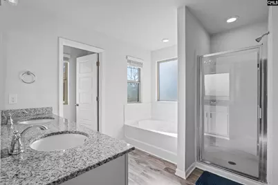 271 Bickley View Court, Chapin, SC 29036 - Photo 2