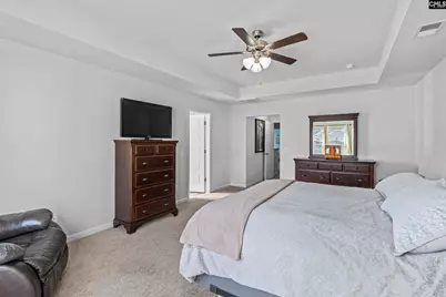 271 Bickley View Court, Chapin, SC 29036 - Photo 14