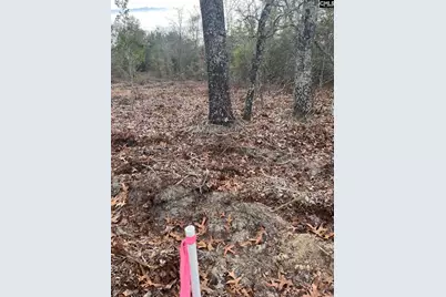 Whl 8 Rainbow Drive Whl 8, Salley, SC 29137 - Photo 10