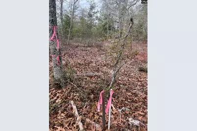 Whl 8 Rainbow Drive Whl 8, Salley, SC 29137 - Photo 18