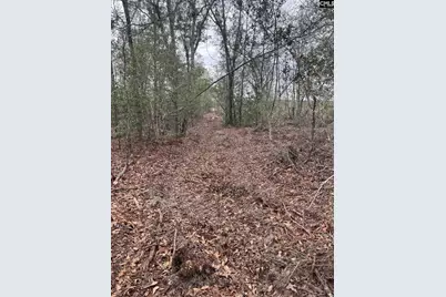 Whl 8 Rainbow Drive Whl 8, Salley, SC 29137 - Photo 8