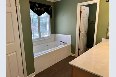 113 Wandering Brook Road, Irmo, SC 29063 - Photo 18