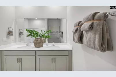 164 Livingston Woods Drive, Irmo, SC 29063 - Photo 28