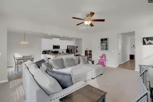 163 Summer Orch Dr, Lexington, SC 29072 - Photo 10