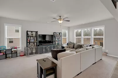 163 Summer Orchard Drive, Lexington, SC 29072 - Photo 6