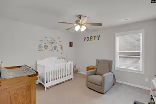 163 Summer Orch Dr, Lexington, SC 29072 - Photo 30