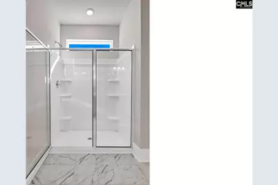 282 Livingston Woods Drive, Irmo, SC 29063 - Photo 30