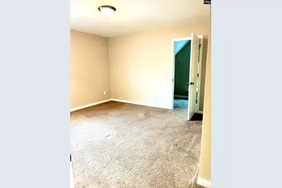 149 Madison Park Drive, Lexington, SC 29072 - Photo 16