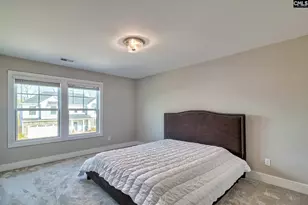 157 Collins Cv Dr, Chapin, SC 29036 - Photo 38