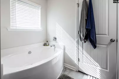 74 Apple Tree Court, Columbia, SC 29223 - Photo 20