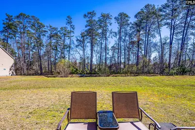 74 Apple Tree Court, Columbia, SC 29223 - Photo 28