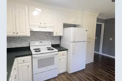 411 Black Avenue, Lexington, SC 29072 - Photo 10