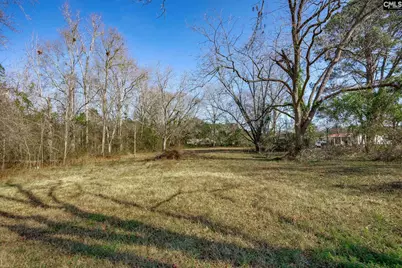 1016 Willis Street, Batesburg, SC 29006 - Photo 36