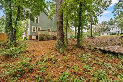 101 E Sparrowood Run, Lexington, SC 29072 - Photo 46