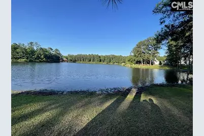 203 Pegonia Lane, Blythewood, SC 29016 - Photo 42