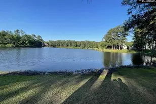 203 Pegonia Ln, Blythewood, SC 29016 - Photo 42