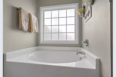 203 Pegonia Lane, Blythewood, SC 29016 - Photo 22