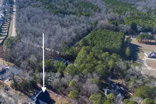 160 Stucks Point, Chapin, SC 29036 - Photo 46