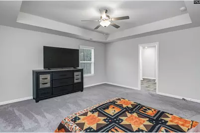 236 Bent Holly Drive, Columbia, SC 29209 - Photo 30