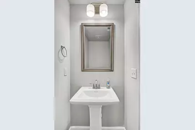 236 Bent Holly Drive, Columbia, SC 29209 - Photo 26