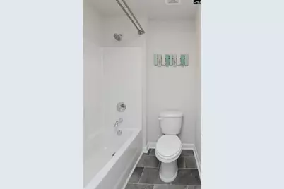 236 Bent Holly Drive, Columbia, SC 29209 - Photo 42