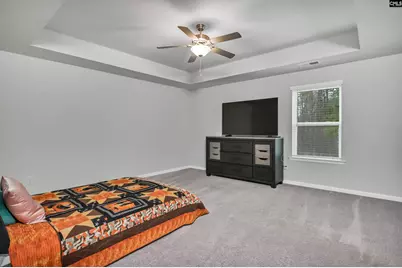 236 Bent Holly Drive, Columbia, SC 29209 - Photo 28