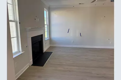 427 Rising Stream Way, Chapin, SC 29036 - Photo 4