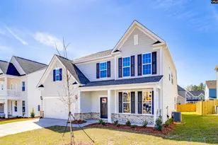 427 Rising Stream Wy, Chapin, SC 29036 - Photo 2