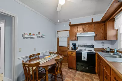 100 Point Street, Chapin, SC 29036 - Photo 12